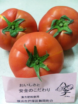 舞岡の相澤さんちのハウストマト